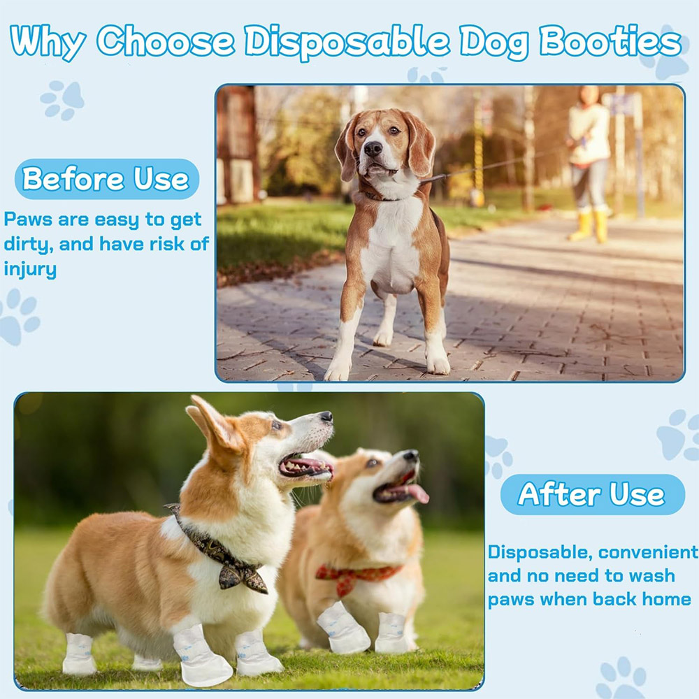 20/40PCS Pet Disposable Paw Sh - огляд і ціна Dust Shoe Cnc